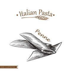 Hand drawn penne pasta isolated on white background. Italian pasta sketch style vector illustrator.