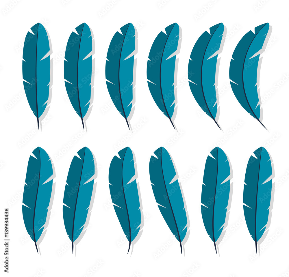 Poster feathers collection icon flat characters in the style