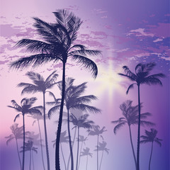 Silhouette of palm tree and sunset sky. Vector illustration