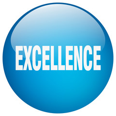 excellence blue round gel isolated push button