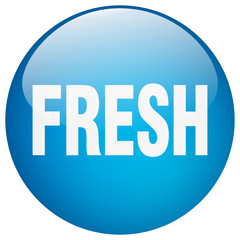 fresh blue round gel isolated push button