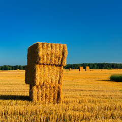 Stoppelfeld mit Strohballen, Sommerlandschaft unter blauem Himmel