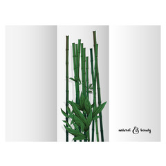 Bamboo Spa triptych for online business