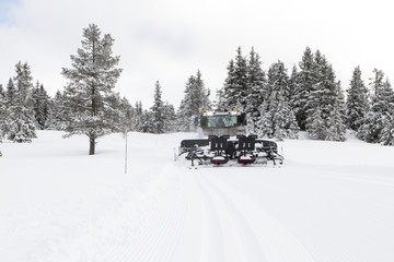 Snow groomer  prepares ski cross-country route, ski track on fresh snow. Winter sport background.