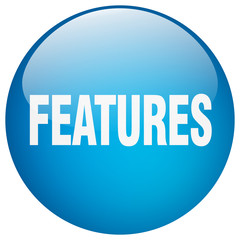 features blue round gel isolated push button