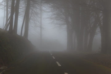 Naklejka premium Road in a fog in a cloud in the mountains of Madeira Island, Portugal