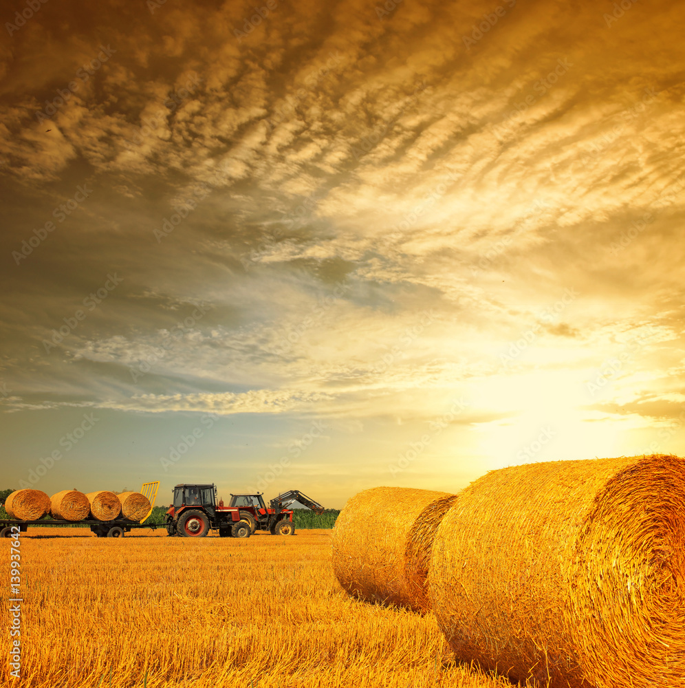 Sticker tractor collecting straw bales