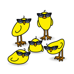Five Yellow Chicks Wearing Ladies Sunglasses Staring