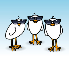 Three White Chicks Wearing Ladies Sunglasses Staring