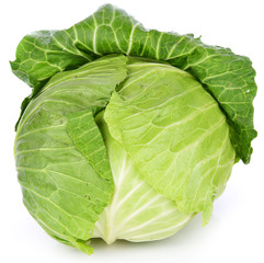 Fototapeta premium green cabbage isolated on white background.