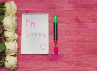 I'm sorry concept