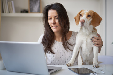 young beautiful woman with beagle dog at home, using notebook