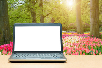 Laptop with blank screen on table with blur green nature in background. Technology concept.