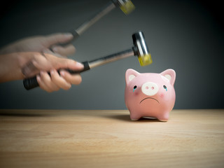 A hand holding a hammer which is raised above a pink sad piggy bank, with a shocked and...
