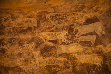 Bhimbetka rock shelters