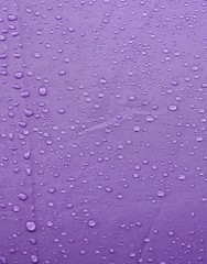 rain water drop on purple umbrella background with copy space for add text