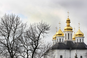 Fototapeta na wymiar Church in the trees. Church. Old Church in Chernigov. Golden dome. History. Old City 