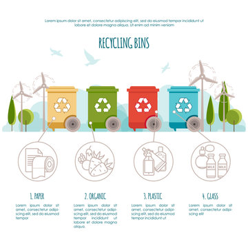 Recycle bins infographic. Waste management and recycle concept. Colored bins with waste types. Vector illustration