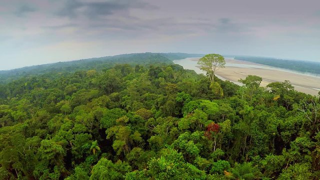 Aerial Shot Of Amazon Rainforest - Amazon 