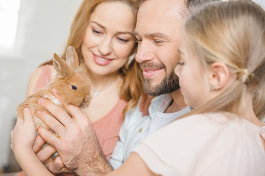 Happy family with rabbit