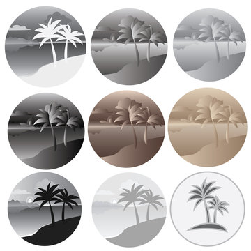 Icon with a palm tree in a circle. Set of icons with palm trees. Graphic vector image of palm trees