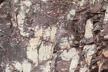 Stone texture  cliff of mountain  beautiful pattern for background.