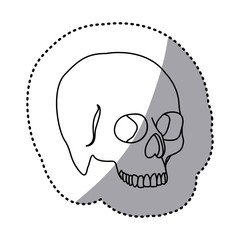 figure skeleton of the human skull icon, vector ilustraction design