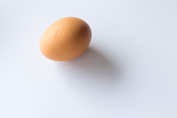 Brown egg on white background