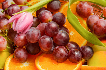 fruits and tulips