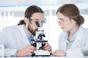 Chemists working with microscope