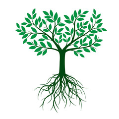 Green tree with roots and leafs. Vector Illustration.