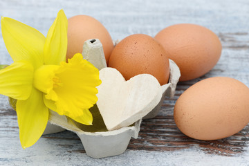Easter eggs, Heart and daffodil lying on wood