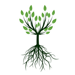 Fototapeta na wymiar Green Tree with Roots. Vector Illustration.