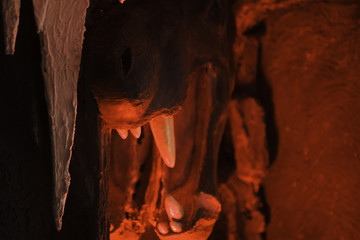 Muzzle dinosaur cave