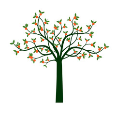 Green Tree and Orange Fruits. Vector Illustration.