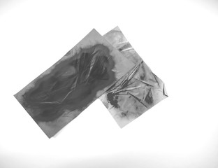 Oil-blot sheet paper on white background