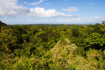 Fototapeta na wymiar Beautiful view of the green Cuban countryside