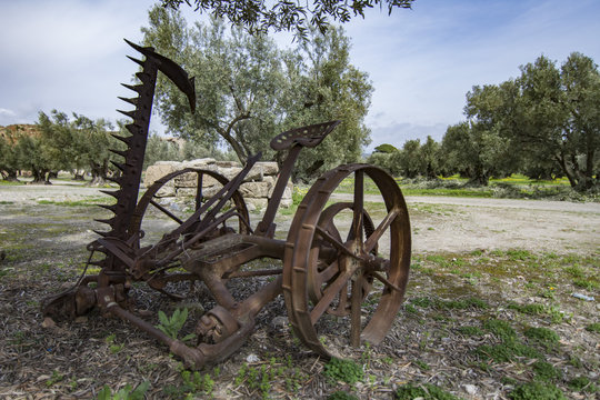 Vecchio aratro arrugginito su un uliveto, Calabria IT