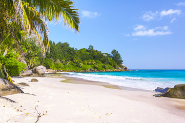 Beach of the Seychelles, Island Mahé, Beach Machabée
