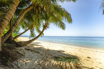 Fototapeta na wymiar Beach of the Seychelles, Island Mahé, Beach Anse aux Pins