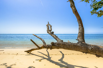 Beach of the Seychelles, Island Mahé, Beach Anse aux Pins