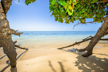 Beach of the Seychelles, Island Mahé, Beach Anse aux Pins