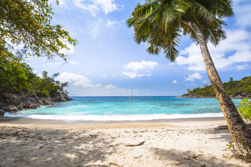 Beach of the Seychelles, Island Mahé, Beach Anse Major