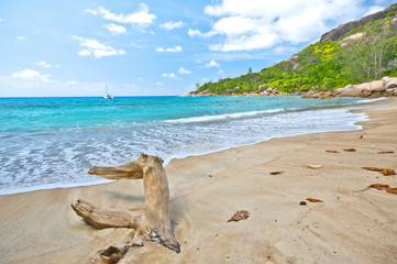 Beach of the Seychelles, Island Mahé, Beach Anse Major