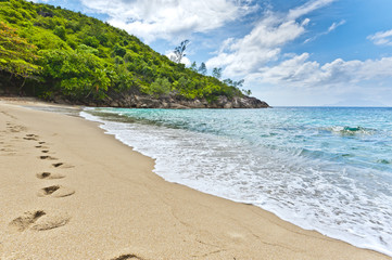 Beach of the Seychelles, Island Mahé, Beach Anse Major