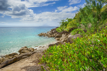 Beach of the Seychelles, Island Mahé, Beach Anse Major