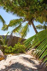 Beach of the Seychelles, Island La Digue, Beach Source d'Argent
