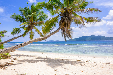 Fototapeta na wymiar Beach of the Seychelles, Island La Digue, Beach Anse Fourmis