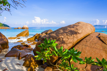 Beach of the Seychelles, Island Praslin, Beach Anse Lazio