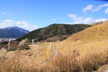 県道１１号から見た風景